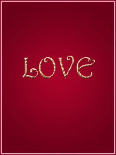 Immagine software